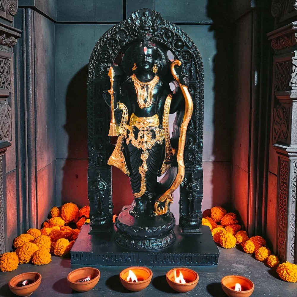 Image Ayodhya Ram Lalla Murti established inside a temple