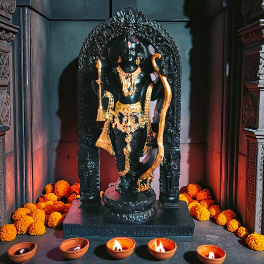Image Ayodhya Ram Lalla Murti established inside a temple