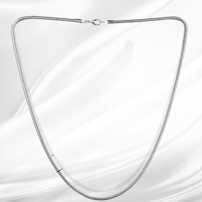 Slim Italian Style Rounded Neck Chain For Men in Stainless Steel (Size 20 In)